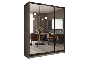 Шкаф-купе «Престиж TL» 233 TG.05