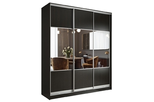 Шкаф-купе «Престиж TL» 203 VS.01