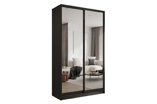 Шкаф-купе «Престиж TL» 120 VG.05