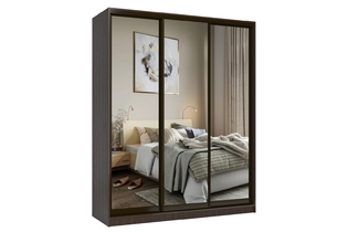 Шкаф-купе «Престиж TL» 203 VG.05