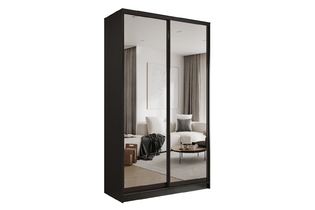 Шкаф-купе «Престиж» 124 VG.05